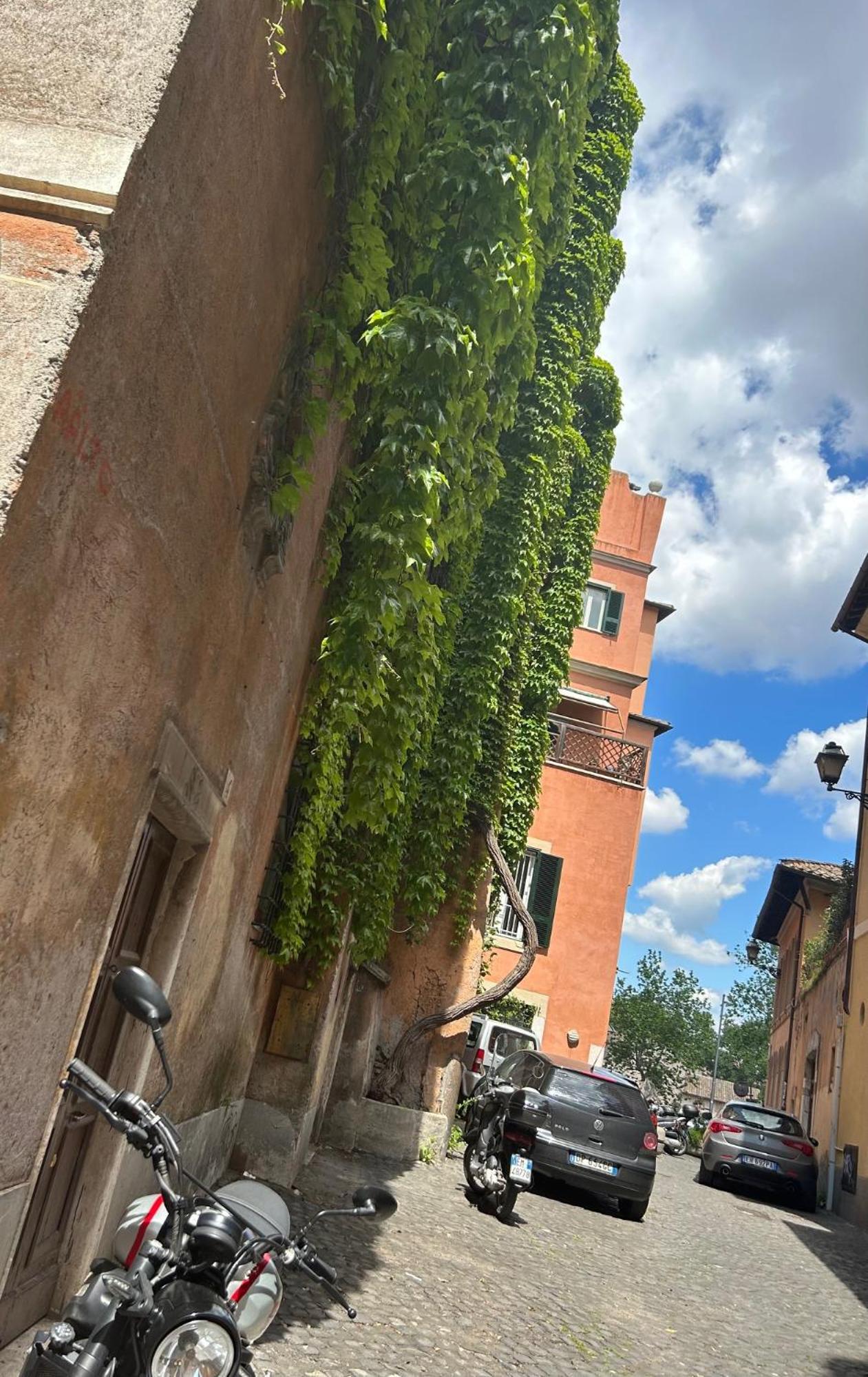 Garden House Trastevere Rome Luaran gambar